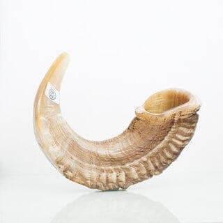 Shofar de Carnero Certificado - Comprar en Cali