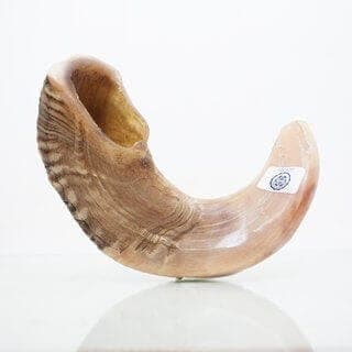 Shofar de Carnero Puro - Comprar en Cali