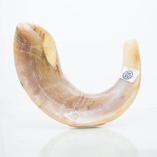 Shofar Sc3 Kasher - Comprar en Cali