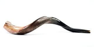 Shofar Yemenita - Comprar en Cali