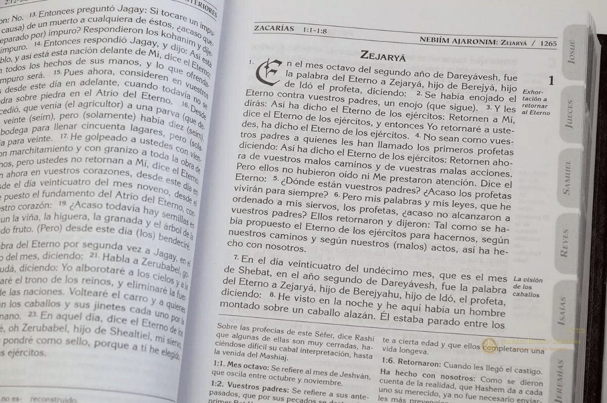 La Biblia Hebrea Tanaj 3