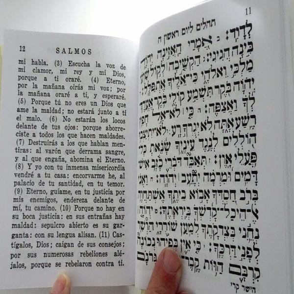 Libro De Los Salmos 5