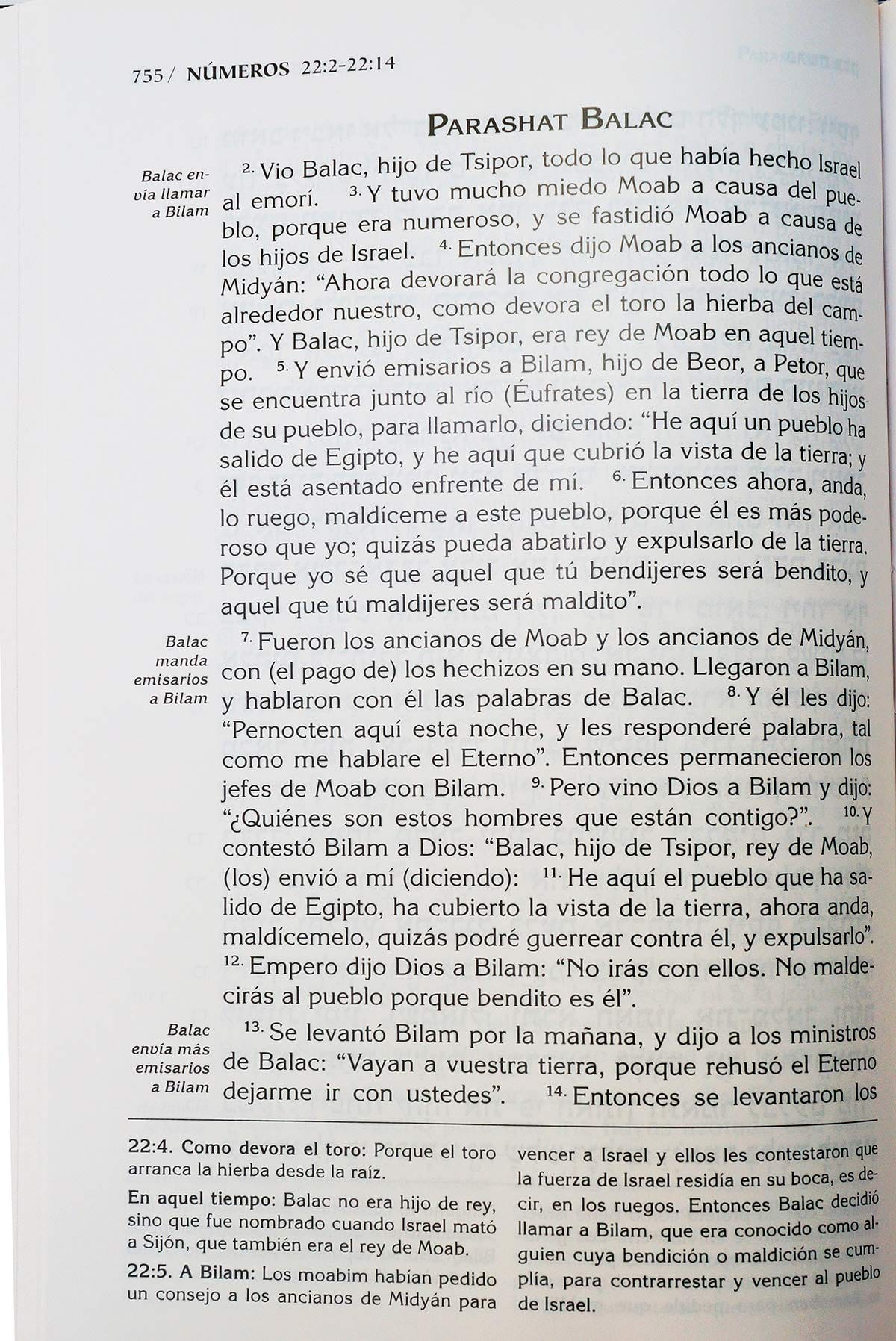 Pentateuco Torah Con Haftarot 3