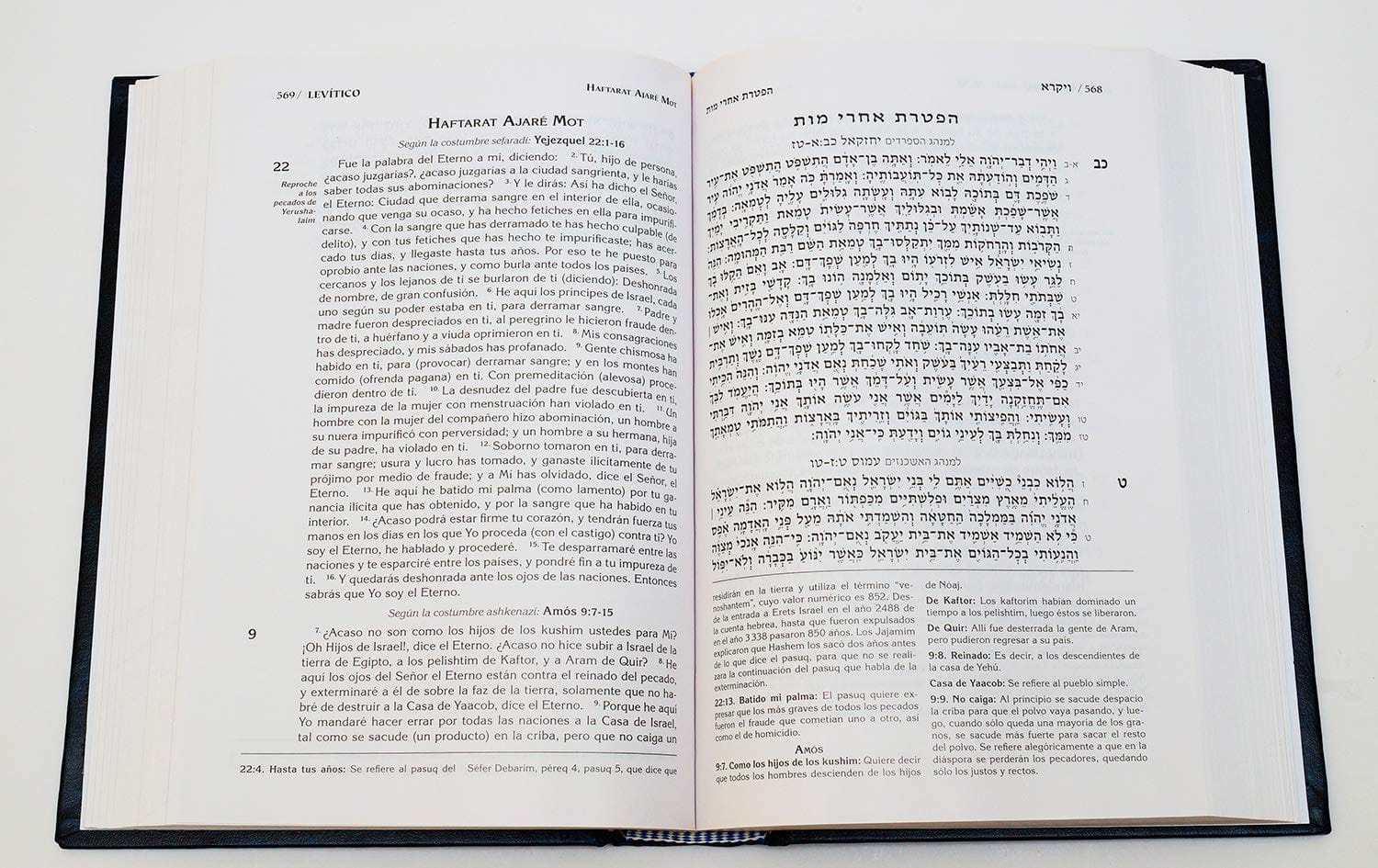 Pentateuco Torah Con Haftarot 4