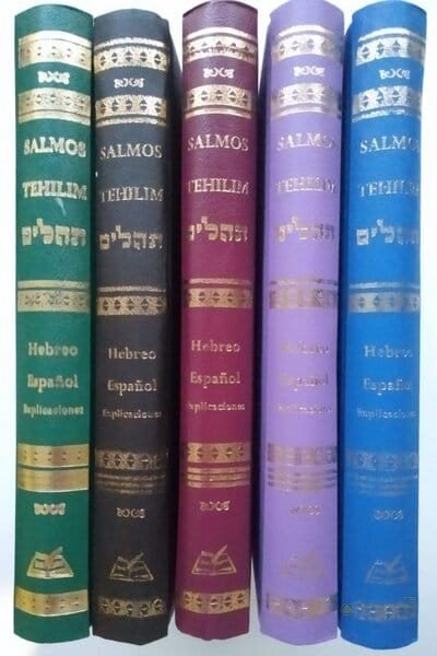 Tehilim Bnei Sholem 2