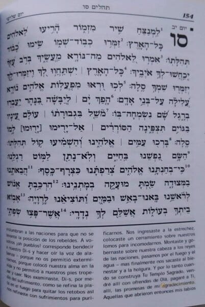 Tehilim Bnei Sholem 3