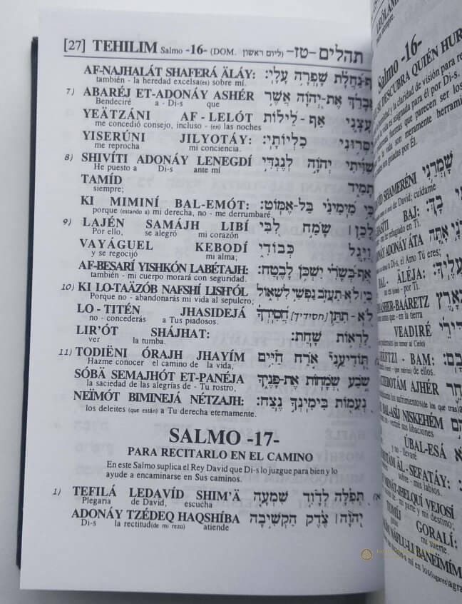 Tehilim Shem Tob Beish 2