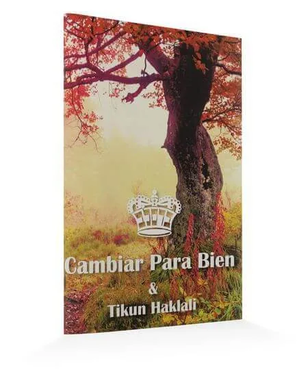 Cambiar para Bien – Rav Shlomo Shick (con Tikún HaKlalí) - Cambiar para Bien – Rav Shlomo Shick (con Tikún HaKlalí) - Judaica Breslov Colombia