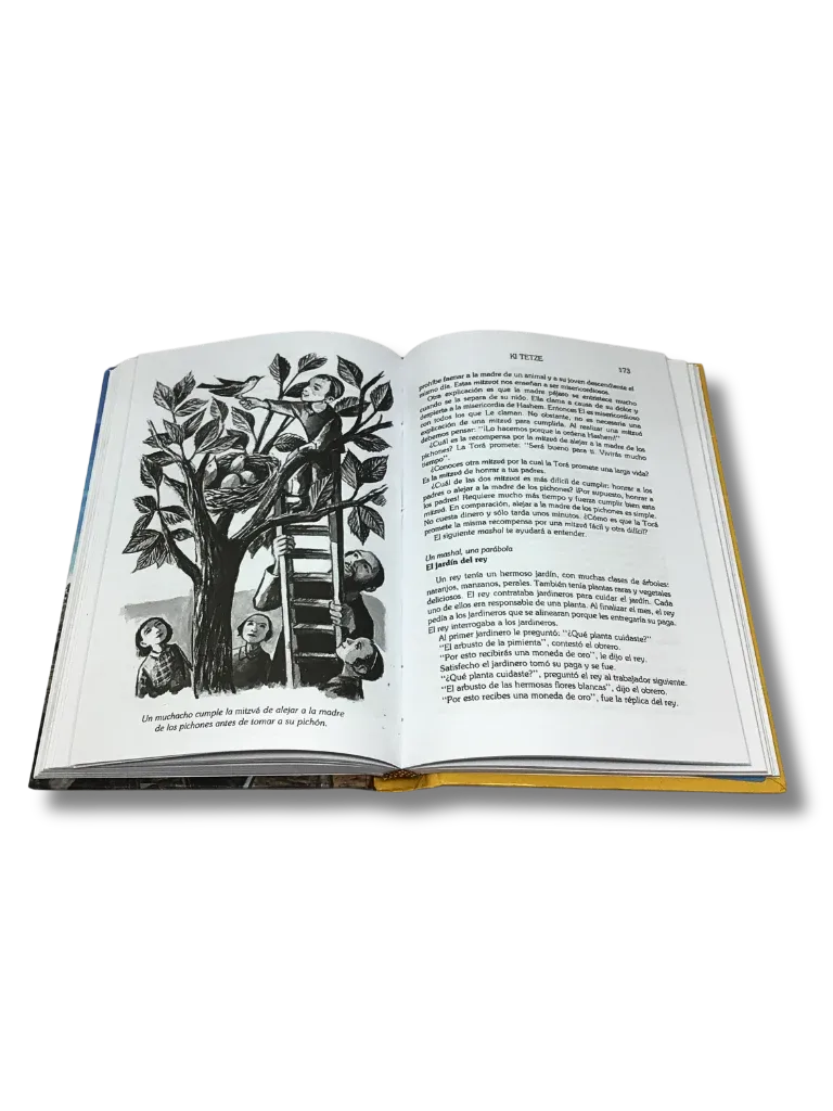 El Pequeño Midrash Dice – Tomo 5: Devarim (Deuteronomio) - vista 2 | Judaica Breslov Colombia
