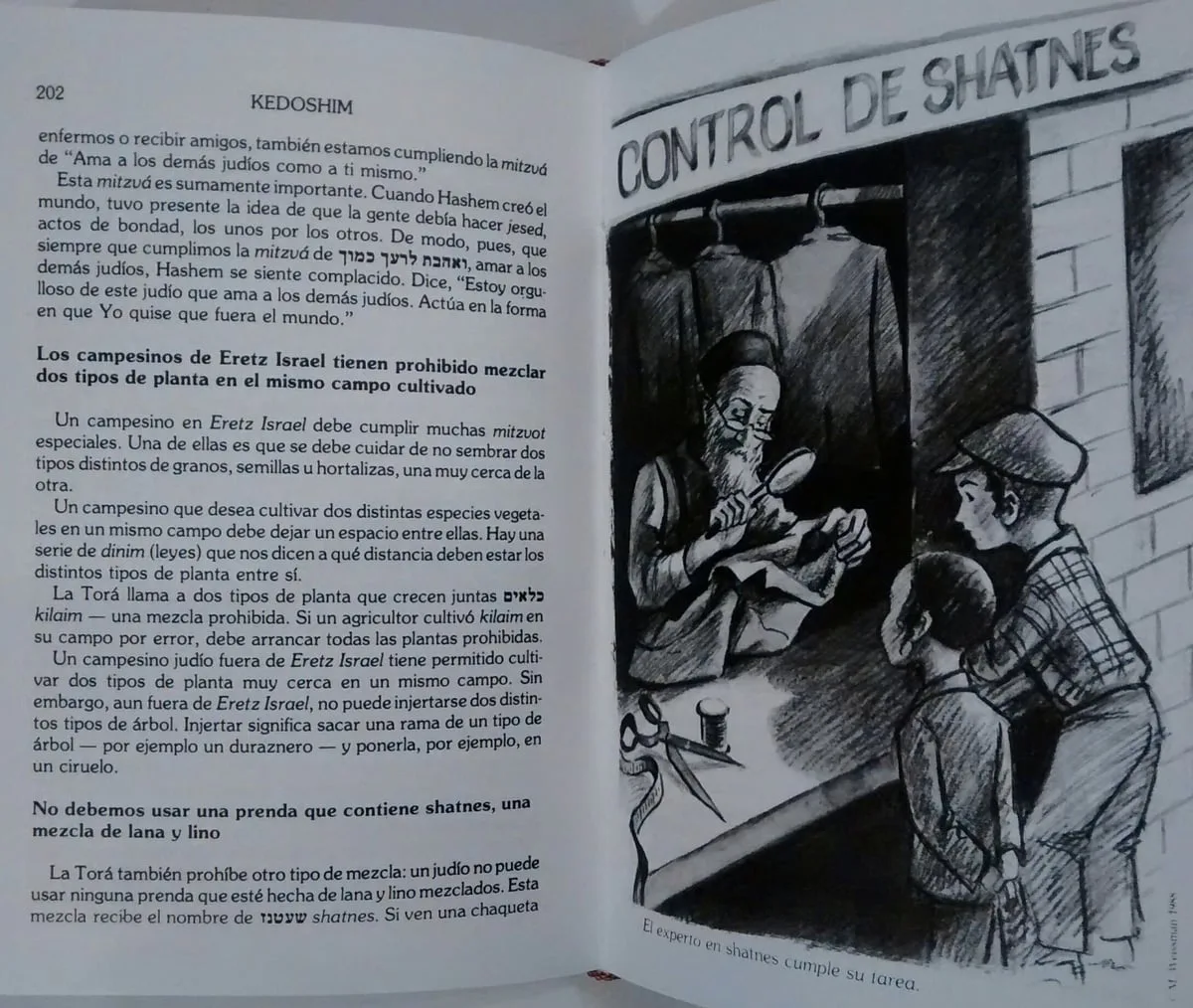El Pequeño Midrash Dice – Vaikrá (Tomo 3) - vista 3 | Judaica Breslov Colombia