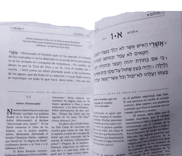 El Poder de los Salmos – Libro I 1-41· Enseñanzas de Breslov - vista 3 | Judaica Breslov Colombia