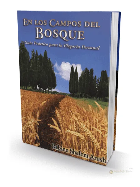 En los Campos del Bosque – Rab Shalom Arush (Hitbodedut) - Judaica Breslov Colombia