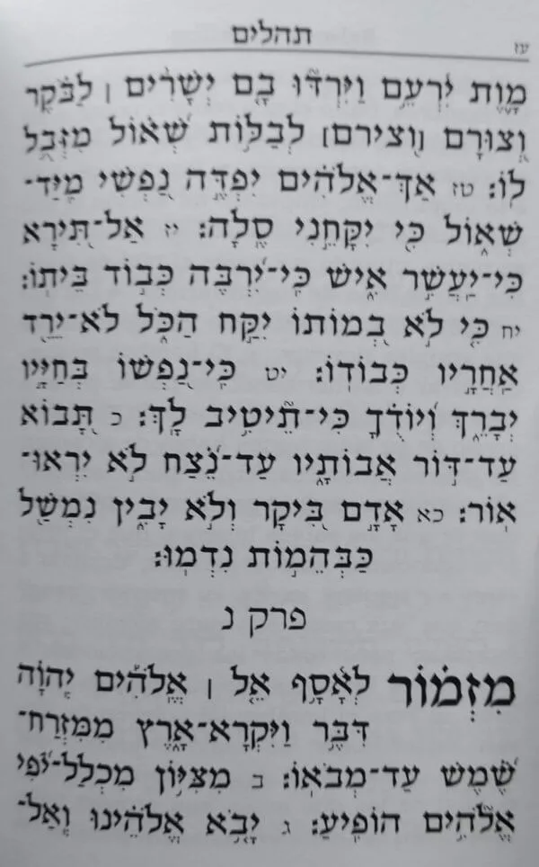 Salmos Otzar Shelomó – Bolsillo, Tapa “Kotel y Violín” 2