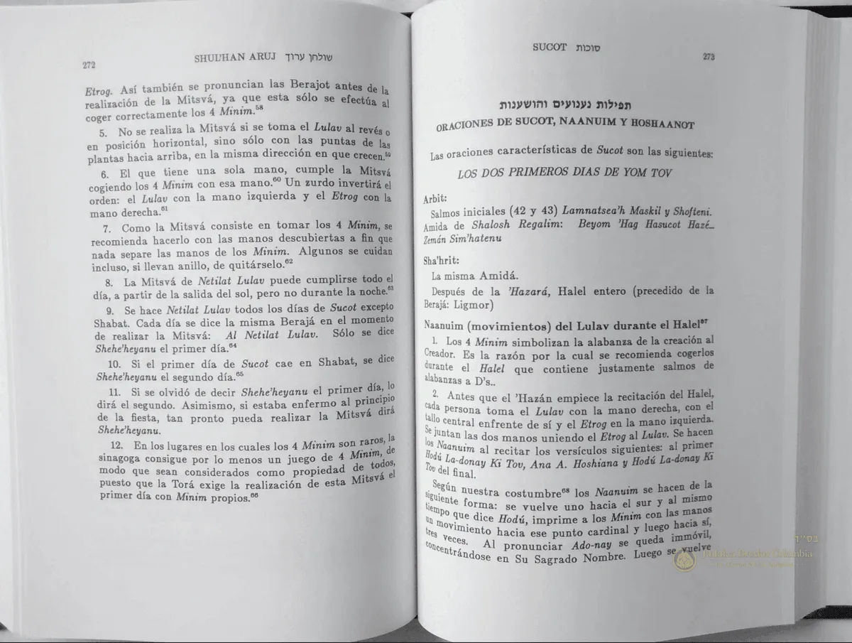 Shuljan Aruj - vista 2 | Judaica Breslov Colombia