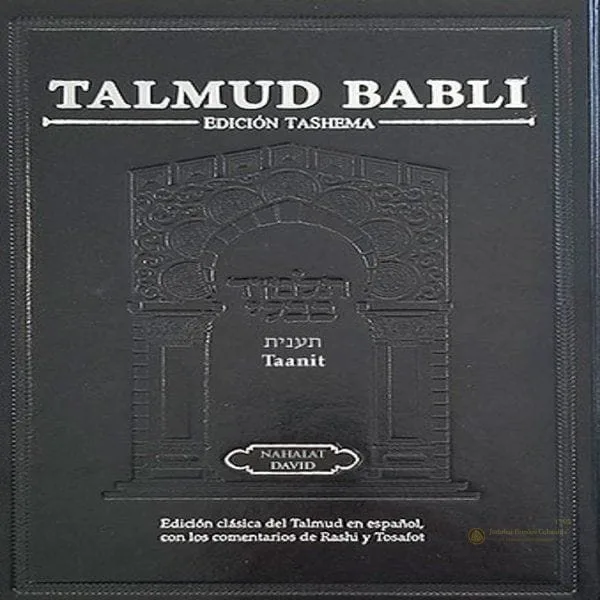 Talmud Babli Masejet Taanit - vista 4 | Judaica Breslov Colombia