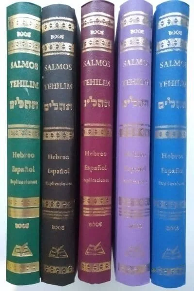 Tehilim Bnei Sholem Hebreo-Español con Explicaciones - vista 2 | Judaica Breslov Colombia