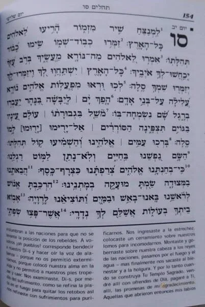 Tehilim Bnei Sholem Hebreo-Español con Explicaciones - vista 3 | Judaica Breslov Colombia