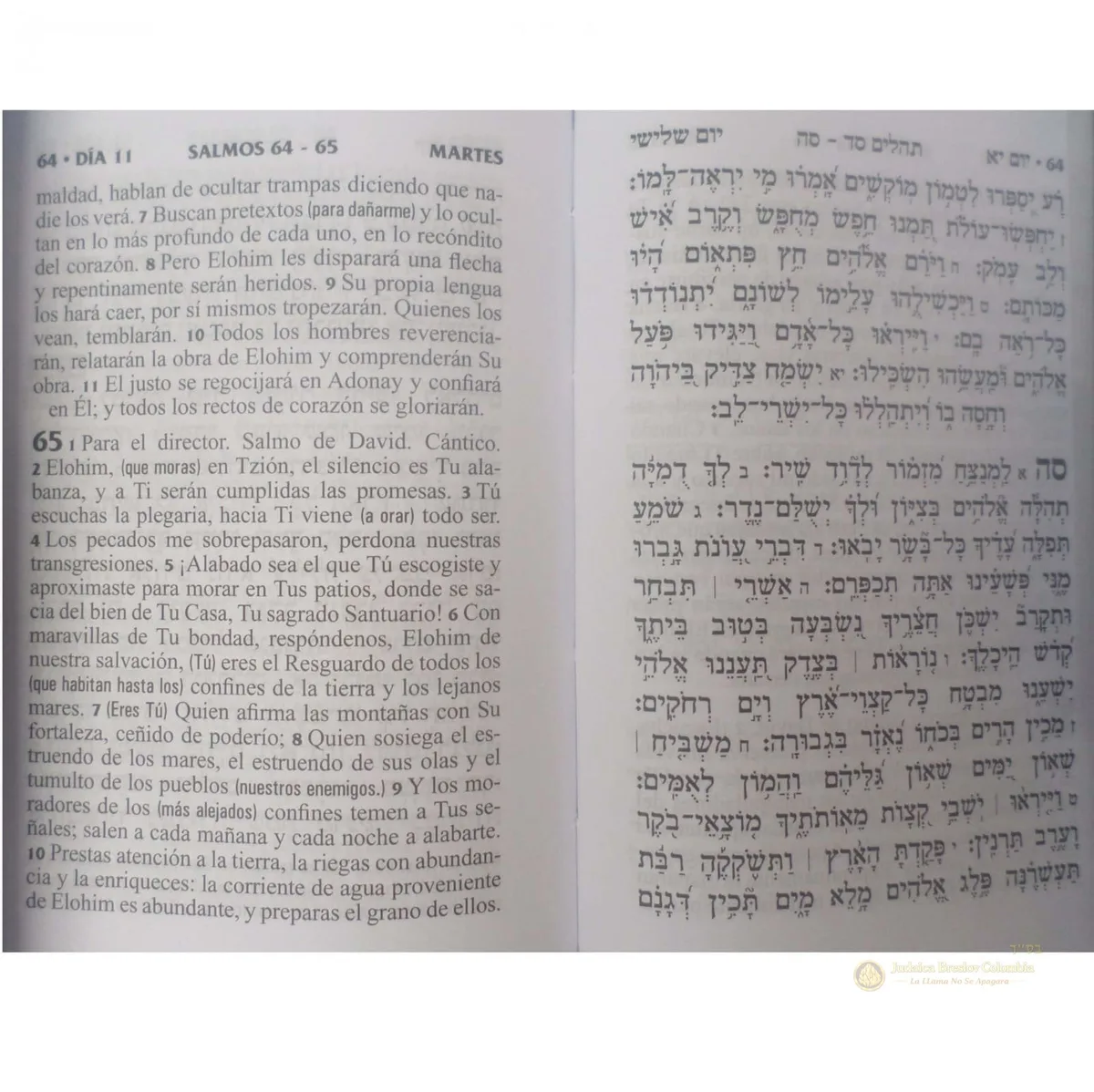 Tehilim de Bolsillo - vista 3 | Judaica Breslov Colombia