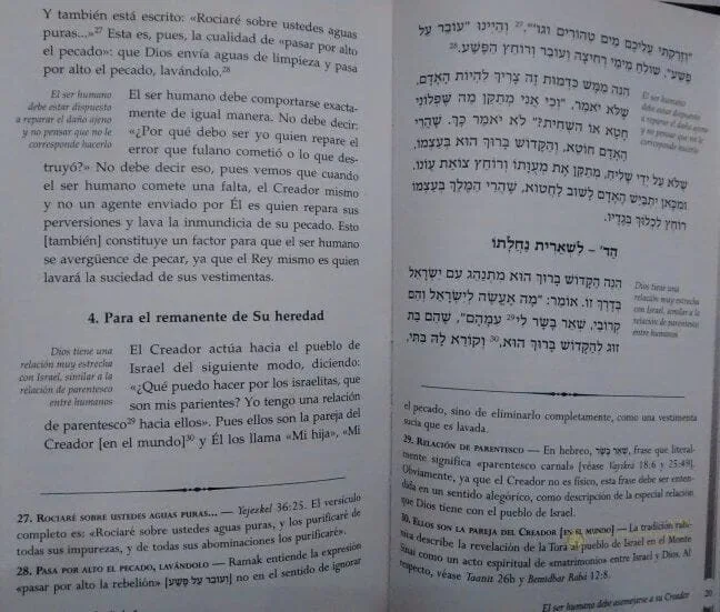 Tomer Devorá – La Palmera de Débora (Ramak) - vista 2 | Judaica Breslov Colombia