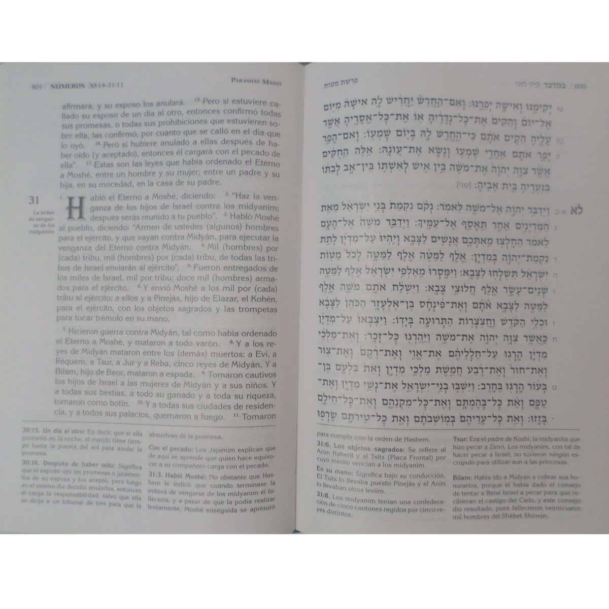 Pentateuco Torah con Haftarot  2