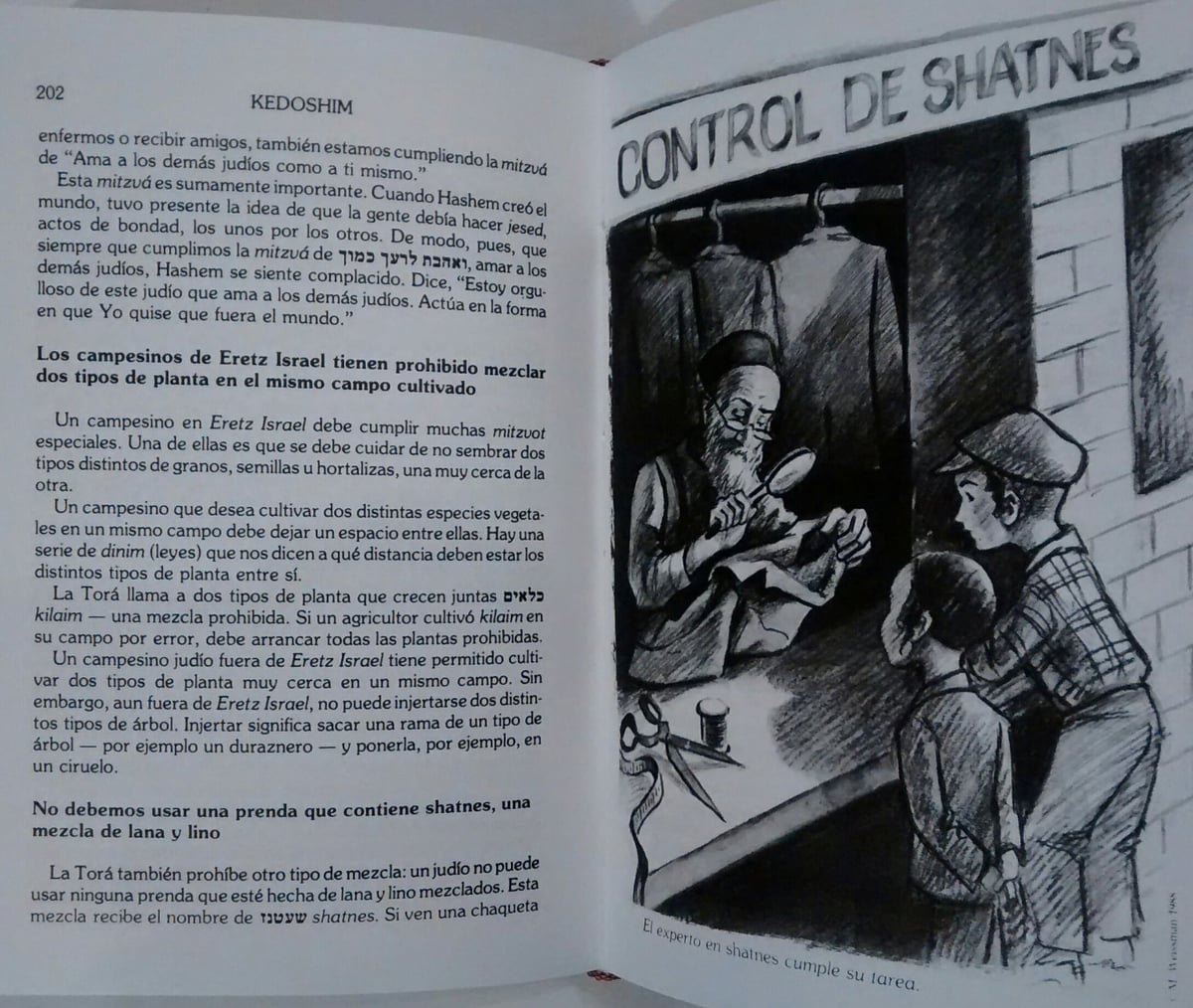 El Pequeño Midrash Dice Vaikra (levitico) 3