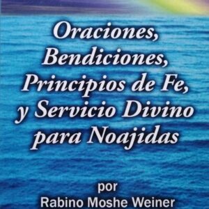 Servicio Divino Para Noajidas