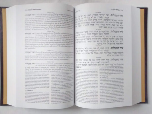 Sidur Artscroll Grande - Imagen 2