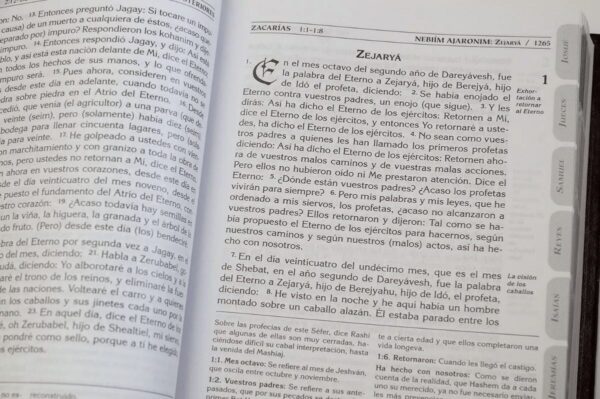 La Biblia Hebrea Tanaj - Imagen 3