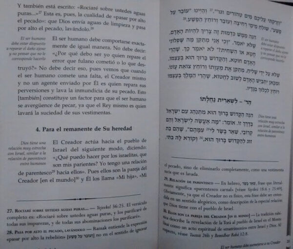 Tomer Deborah - Imagen 2